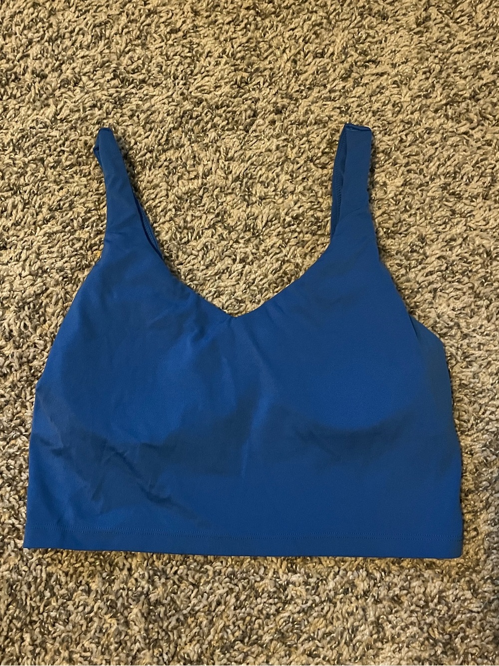 OFFLINE by Aerie blue sports bra